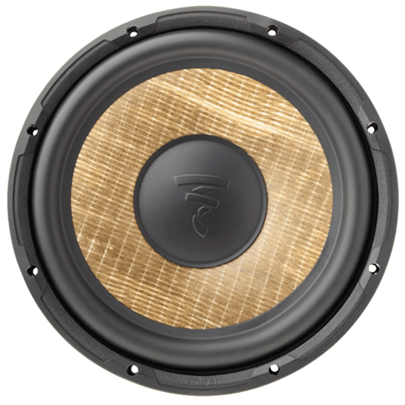 Focal-Expert-P25FS-2